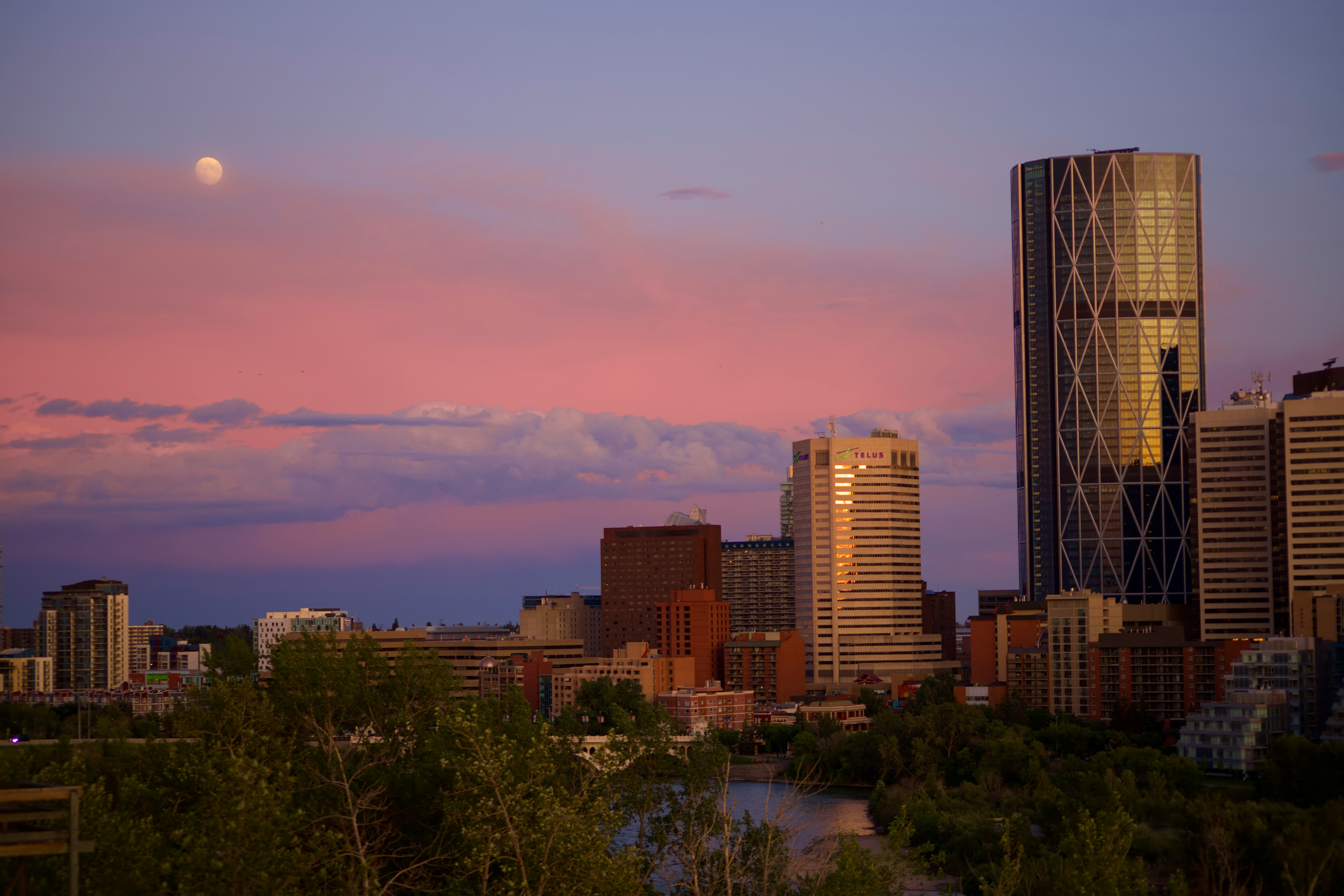 Detached home in Calgary